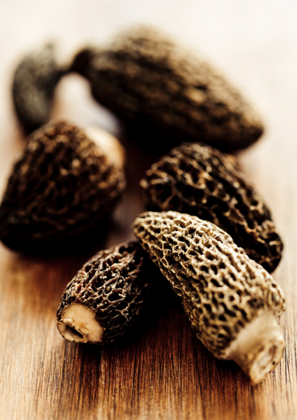 Morel Mushrooms 101: Tips for Cooking and Enjoying this Seasonal Delic