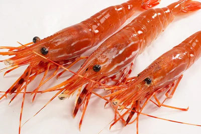 Elevate Your Culinary Game with Spot Prawns: 5 Exciting Recipe Ideas for Home Chefs!