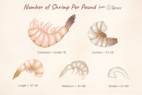 Shrimp Size Guide Reference Chart from The Spruce Eats