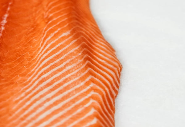 A fresh Center Cut of Sushi-Grade King Salmon from Big Glory Bay in NZ for home delivery in the Bay Area