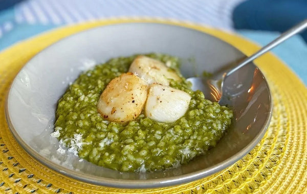 Fresh Green Garlic and Sea Scallop Risotto
