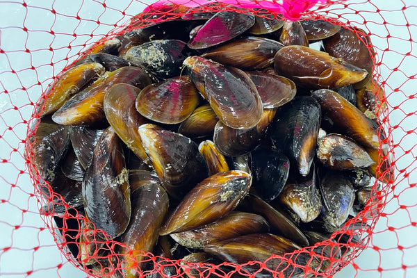 How to Cook Honey Mussels at Home