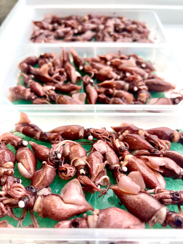 Spring is Peak Season for Cooking Sushi-Grade Firefly Squid at Home