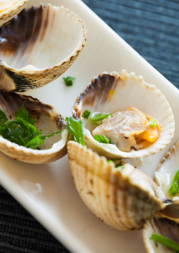 Four Star Seafood's New Zealand Cockle Clams: A Rare and Delicious Find in the Bay Area
