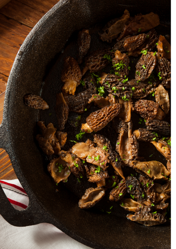 Cooking at Home with Fresh Seasonal Morel Mushrooms