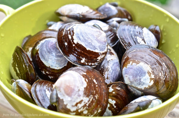 Savory blue clams in a green bowl preparing to cook
