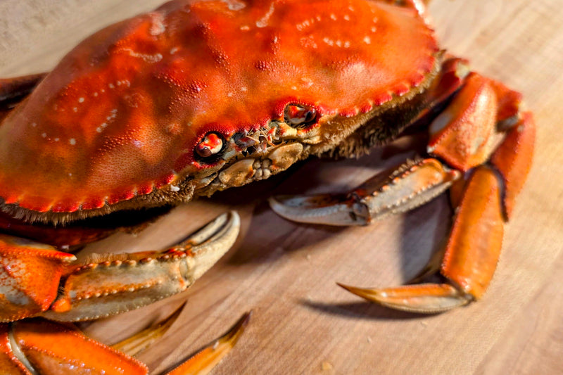 crabs dungeness Cooked Dungeness Crab – Four Star Seafood and Provisions