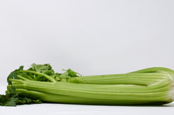 celery stalk