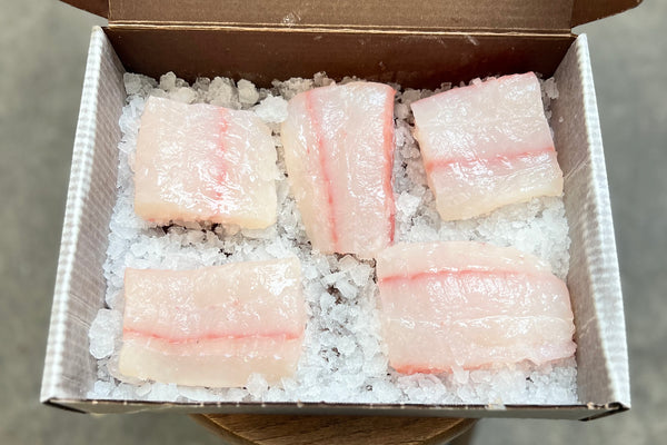 Ike Jime Halibut, Local Fillet - 2ea 6oz portion