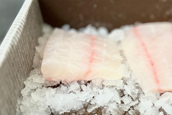 Ike Jime Halibut, Local Fillet - 2ea 6oz portion