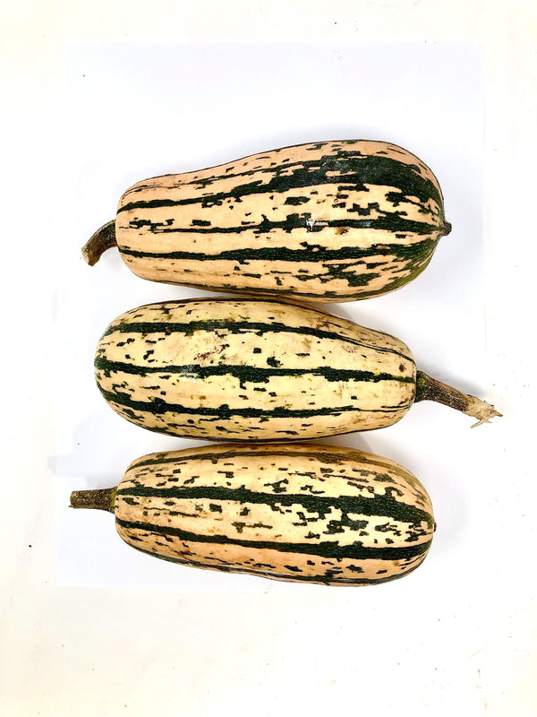 Honeyboat Delicata Squash (Organic) - 2 lbs