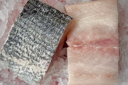 Cobia Fillet - 2ea 6oz portions