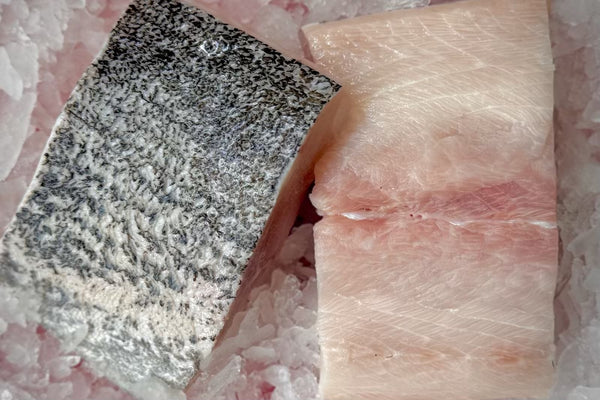 Cobia Fillet - 2ea 6oz portions