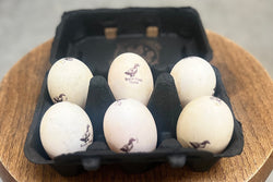 Duck Eggs (1/2 dozen) - Bee La Forte Farm