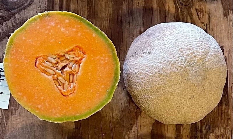 Atlantis Melon - each