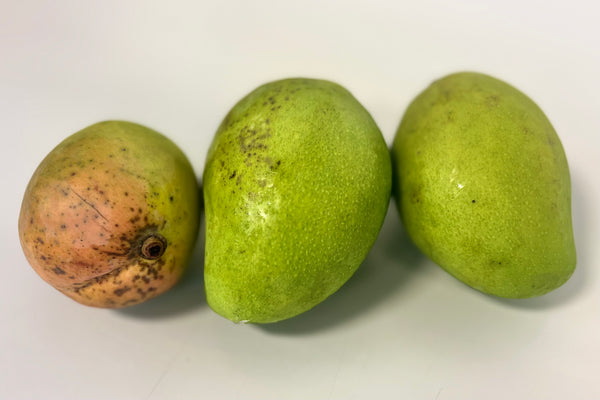 Brokaw Mango - 1 lb