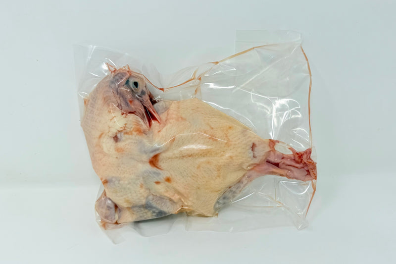 Paine Farms Squab - ea