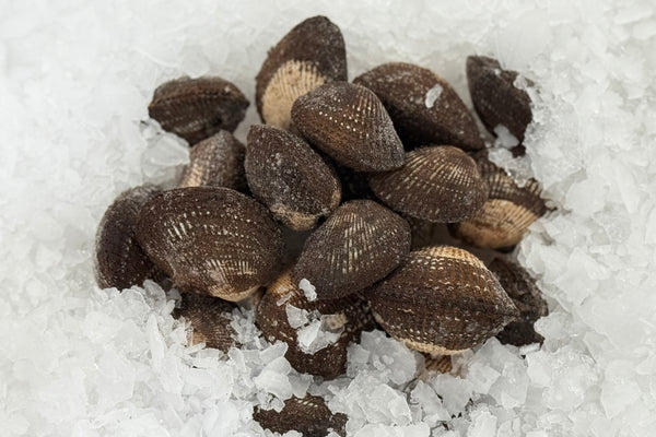 Chocolate Clams (Frozen) - 2lb