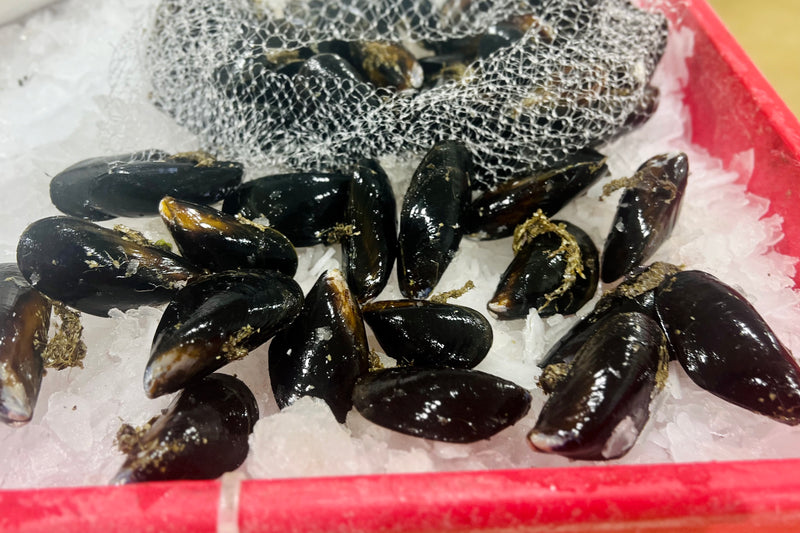 Mediterranean Mussels - 2lb