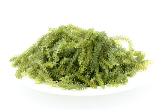 Sea Grapes (Hawaiian) - 2oz