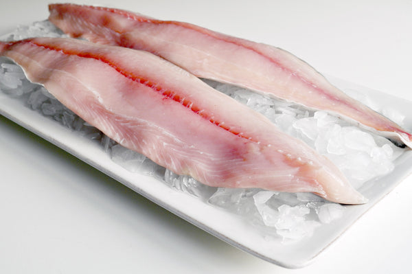 spanish mackerel fillets on ice on a plate