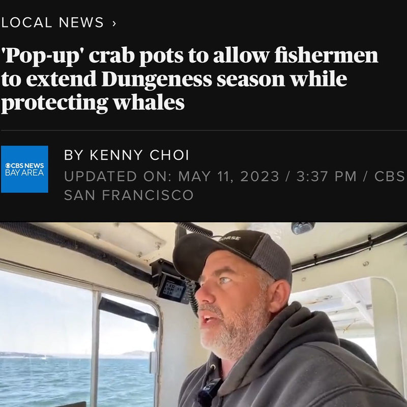Whale-Safe Crab Partnership