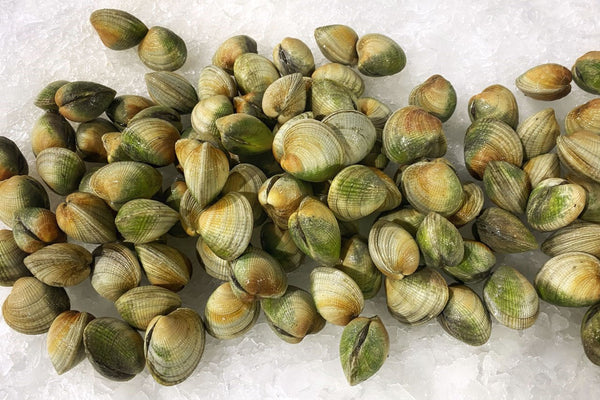 Cockle Clams - 2lb
