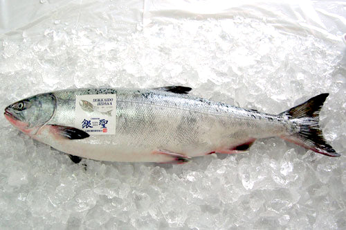 Japanese Chum Salmon Fillet (6oz)-2ea