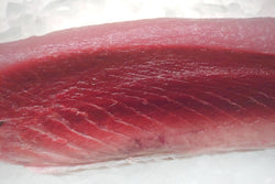 albacore loin
