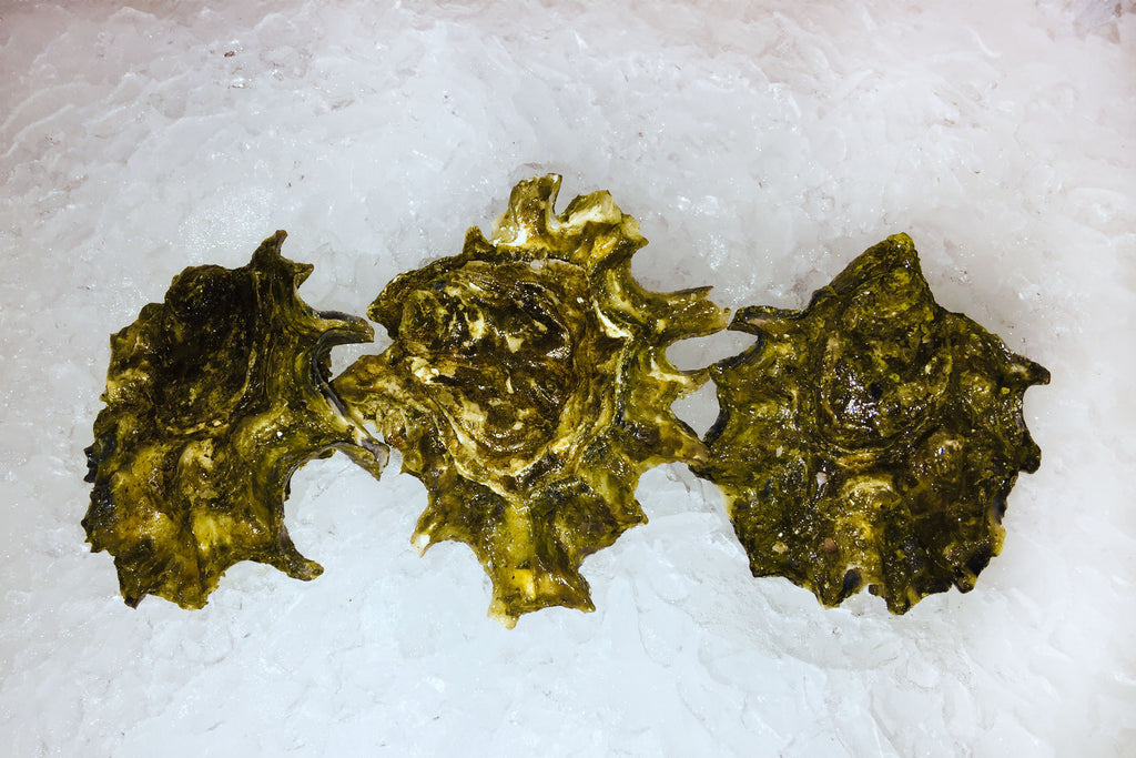 ほ*す様 Young Oysters スタイ ゴールド Royal Miyagi Oysters - dz – Four Star Seafood and Provisions