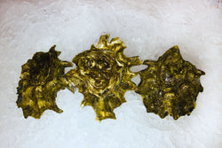 Royal Miyagi Oysters - dz