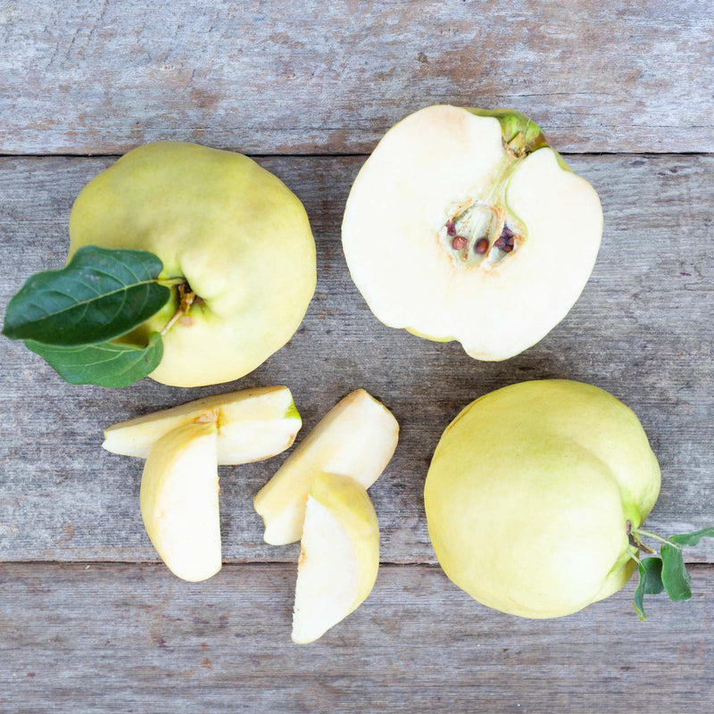 Quince - 2 each