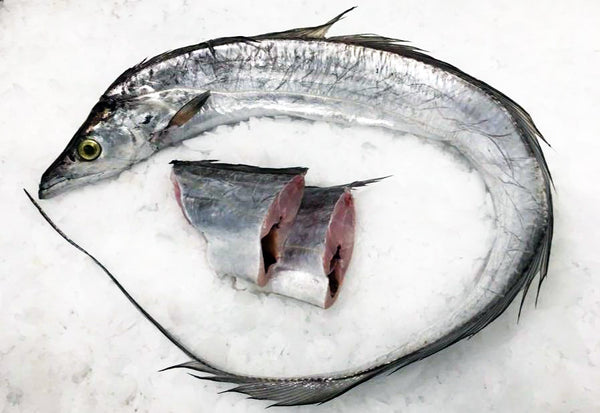 Beltfish/Ribbonfish - Lb