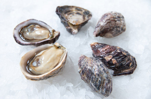 Kusshi Oysters - 12ea