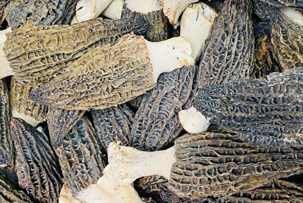 cultivated morel mushrooms in a pile