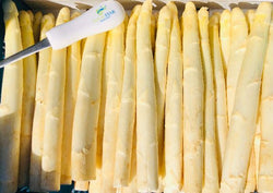 White Asparagus AAA