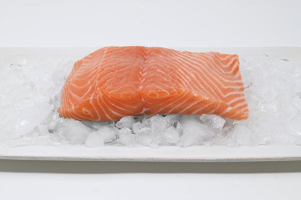 atlantic salmon fillet on a dish on ice