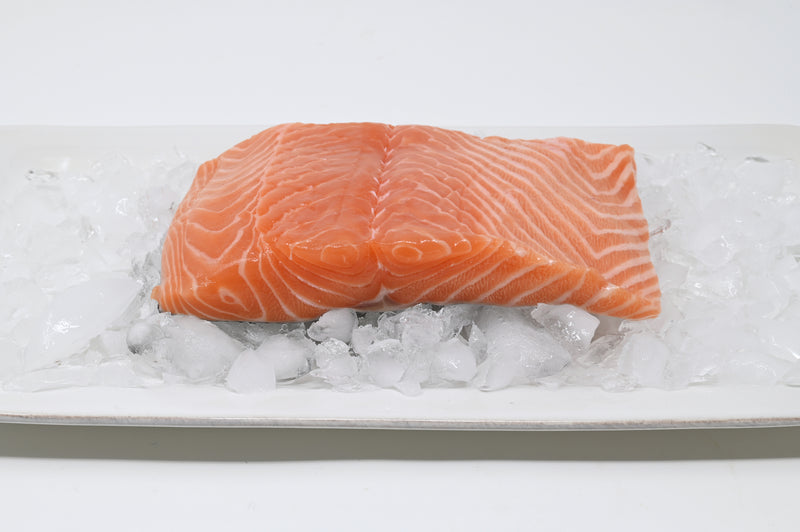 atlantic salmon fillet on a dish on ice