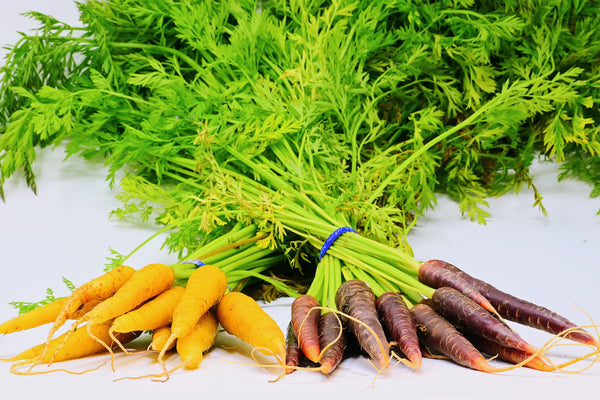 two bunches of baby carrots