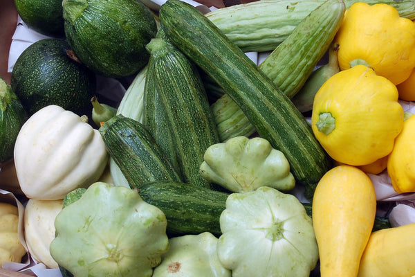 colorful array of summer squash