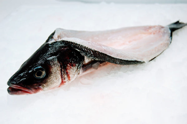 branzino pocket cut on ice