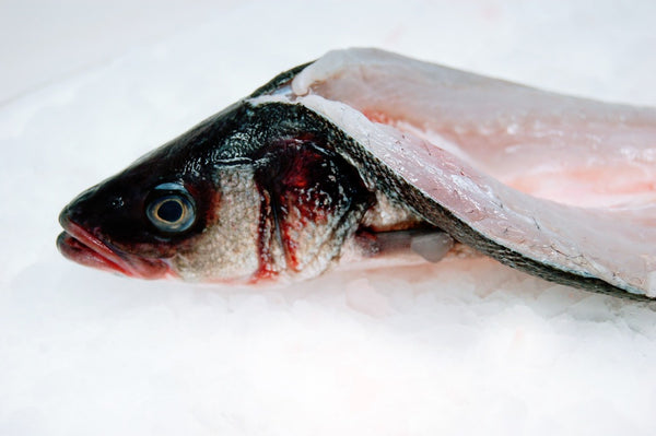 branzino pocket cut on ice