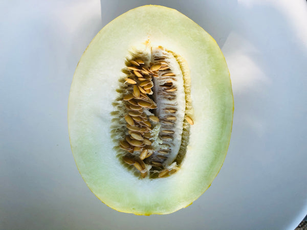 Canary Melon - ea