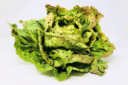 castelfranco
