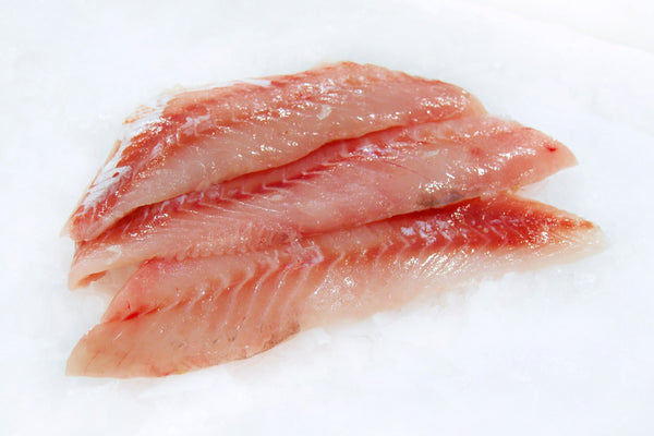 rockfish fillets on ice