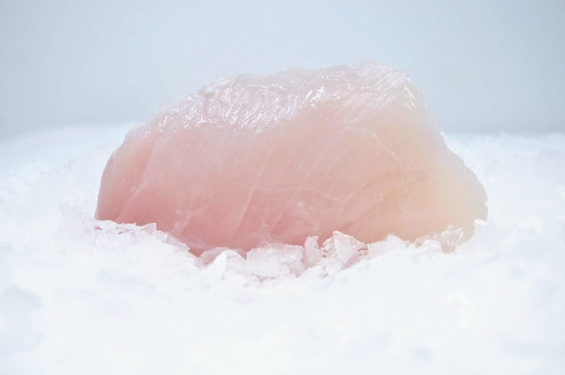 halibut cheeks on ice