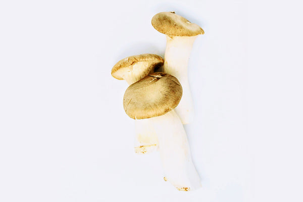 King Trumpet Mushrooms