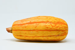 delicata squash