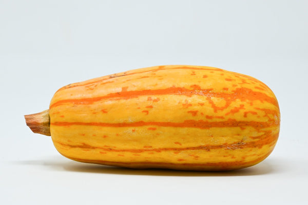 delicata squash