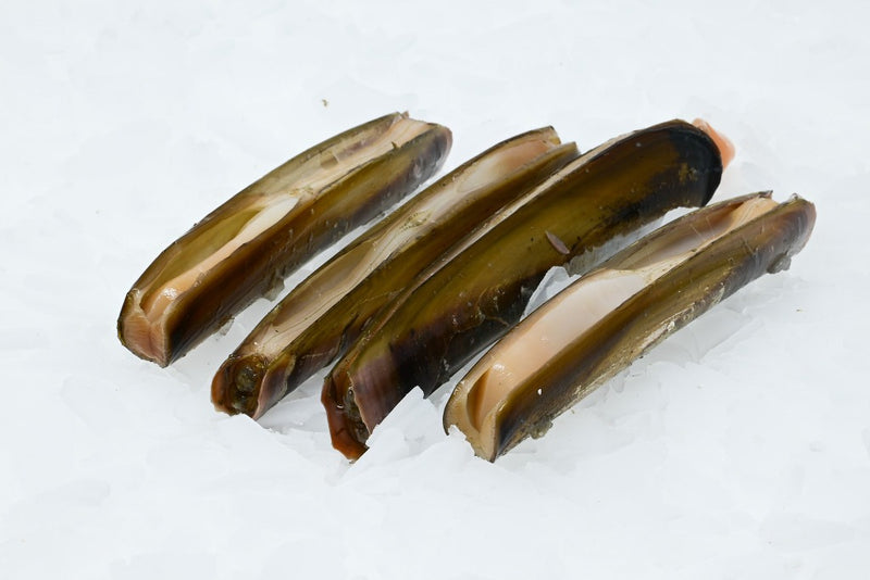 razor clams on ice